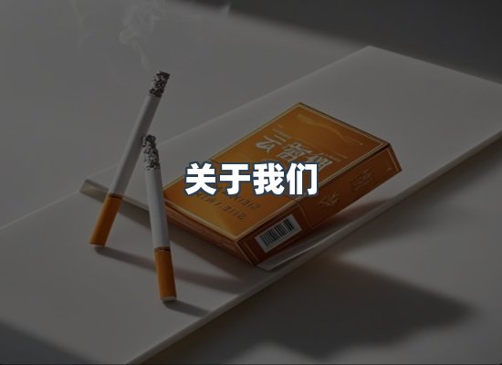 关于我们
